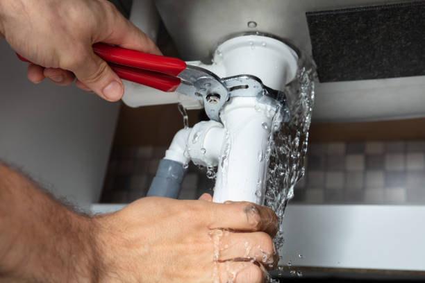 Best Water damage contractors near me  in Cohasset, MN