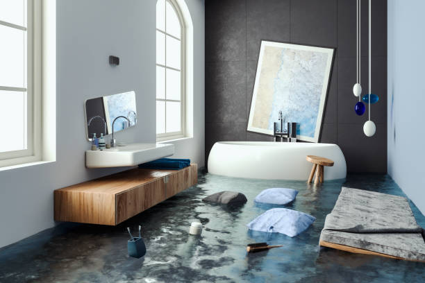 Best Mold removal after water damage  in Cohasset, MN