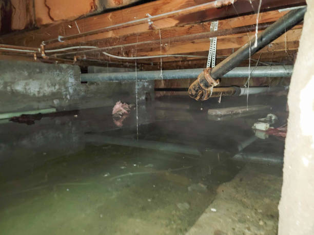 Best Emergency water extraction  in Cohasset, MN