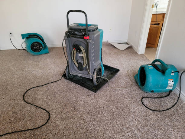 Best Basement water damage restoration  in Cohasset, MN