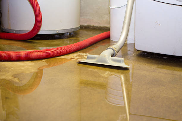 Best Water damage restoration near me  in Cohasset, MN
