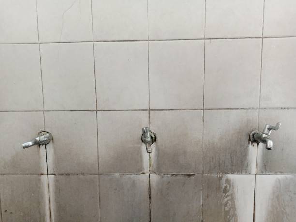 Carpet water damage restoration in MN