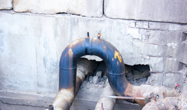 Best Professional water damage repair  in Cohasset, MN