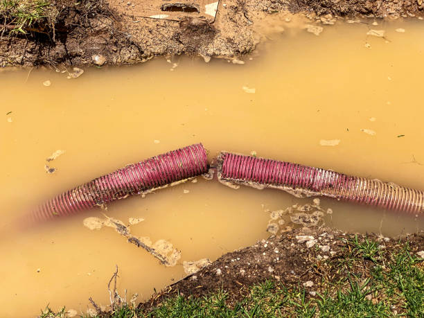 Best Water damage contractors near me  in Cohasset, MN